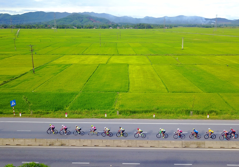 Đường đua giữa mênh mang biển lúa...