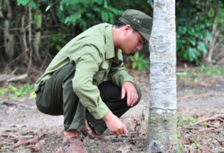 Thông tin từ đường dây nóng