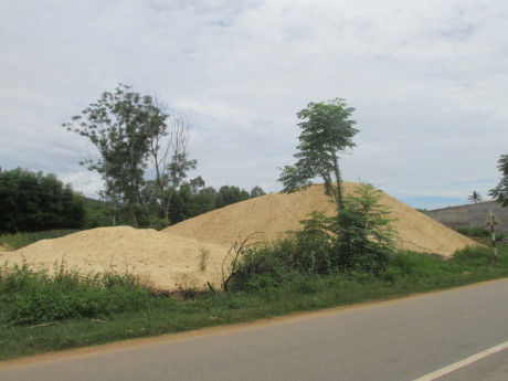 Thông tin từ đường dây nóng