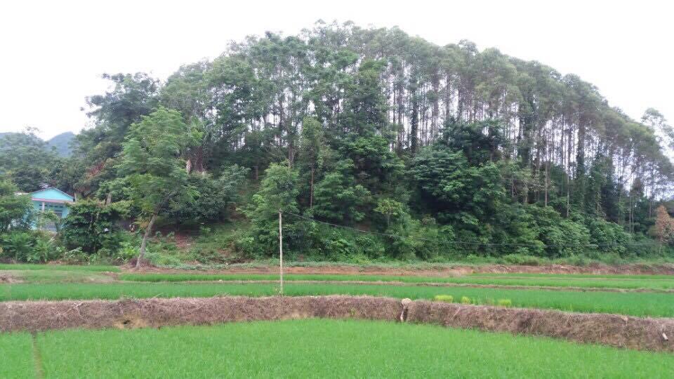 Chưa xử lý triệt để kết luận của thanh tra
