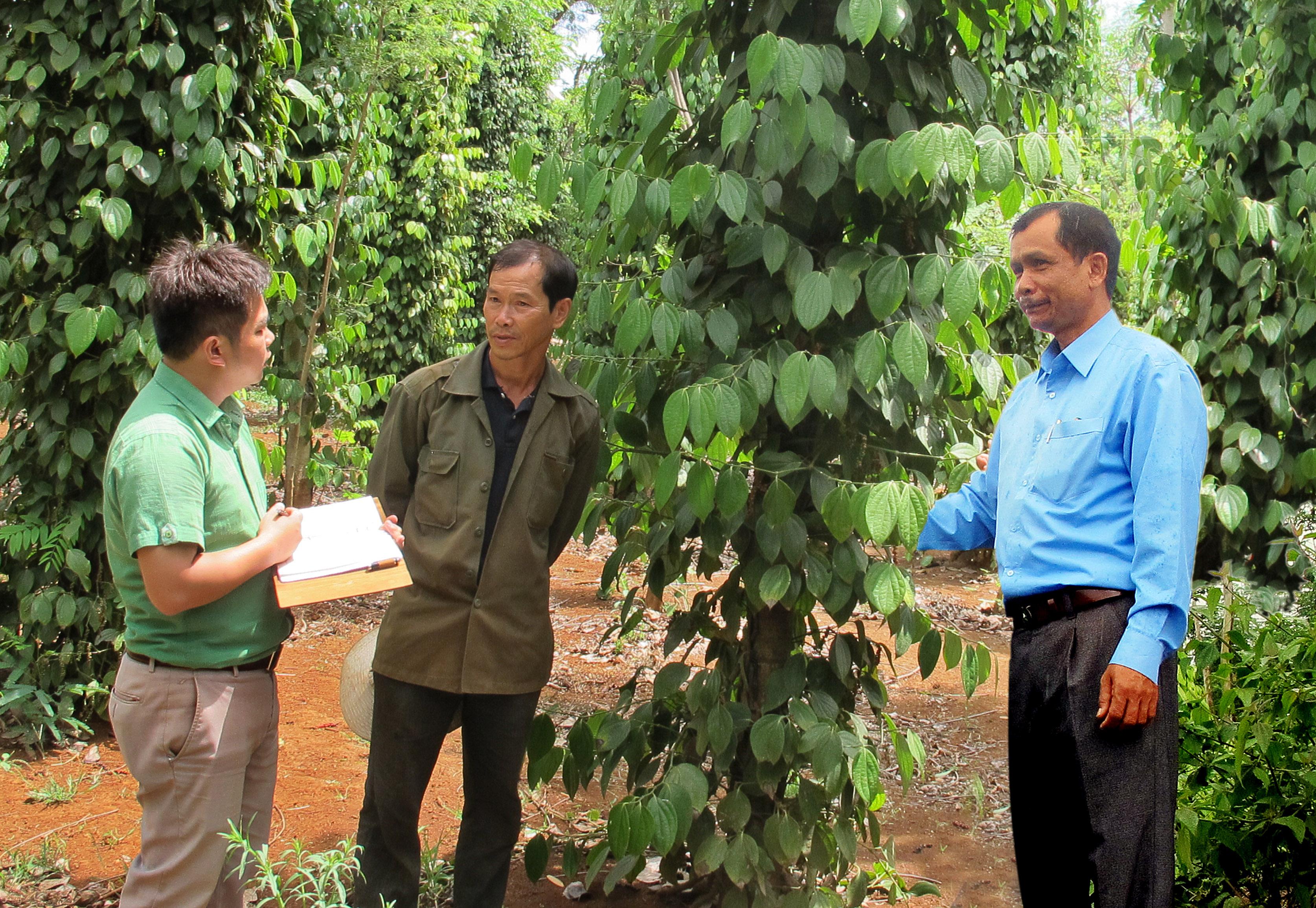 Đảng viên Điểu Kêu ở Đăk N'Drung