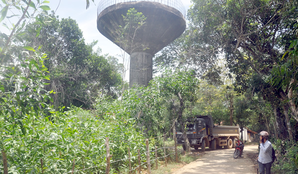 Thông tin từ đường dây nóng
