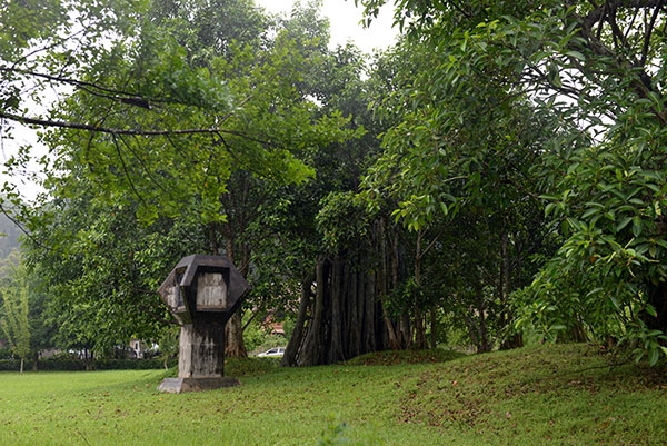 Cây đa Tân Trào nằm ở đầu làng Tân Lập, tại đây, chiều 16-8-1945, thi hành mệnh lệnh của Ủy ban Khởi nghĩa toàn quốc, đồng chí Võ Nguyên Giáp đọc bản Quân lệnh số 1 hạ lệnh xuất quân tiến sang giải phóng Thái Nguyên và tiến về giải phóng Thủ đô Hà Nội.