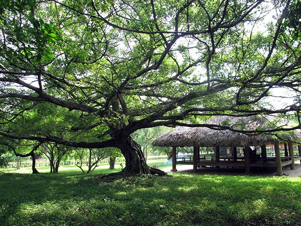 Khu di tích lịch sử Quốc gia đặc biệt Tân Trào nằm trên địa bàn hai huyện Sơn Dương và Yên Sơn, tỉnh Tuyên Quang.