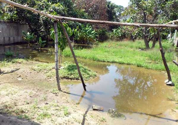 Thông tin từ đường dây nóng
