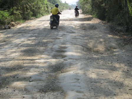 Thông tin từ đường dây nóng
