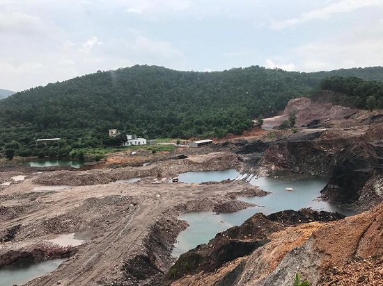 Thông tin từ đường dây nóng