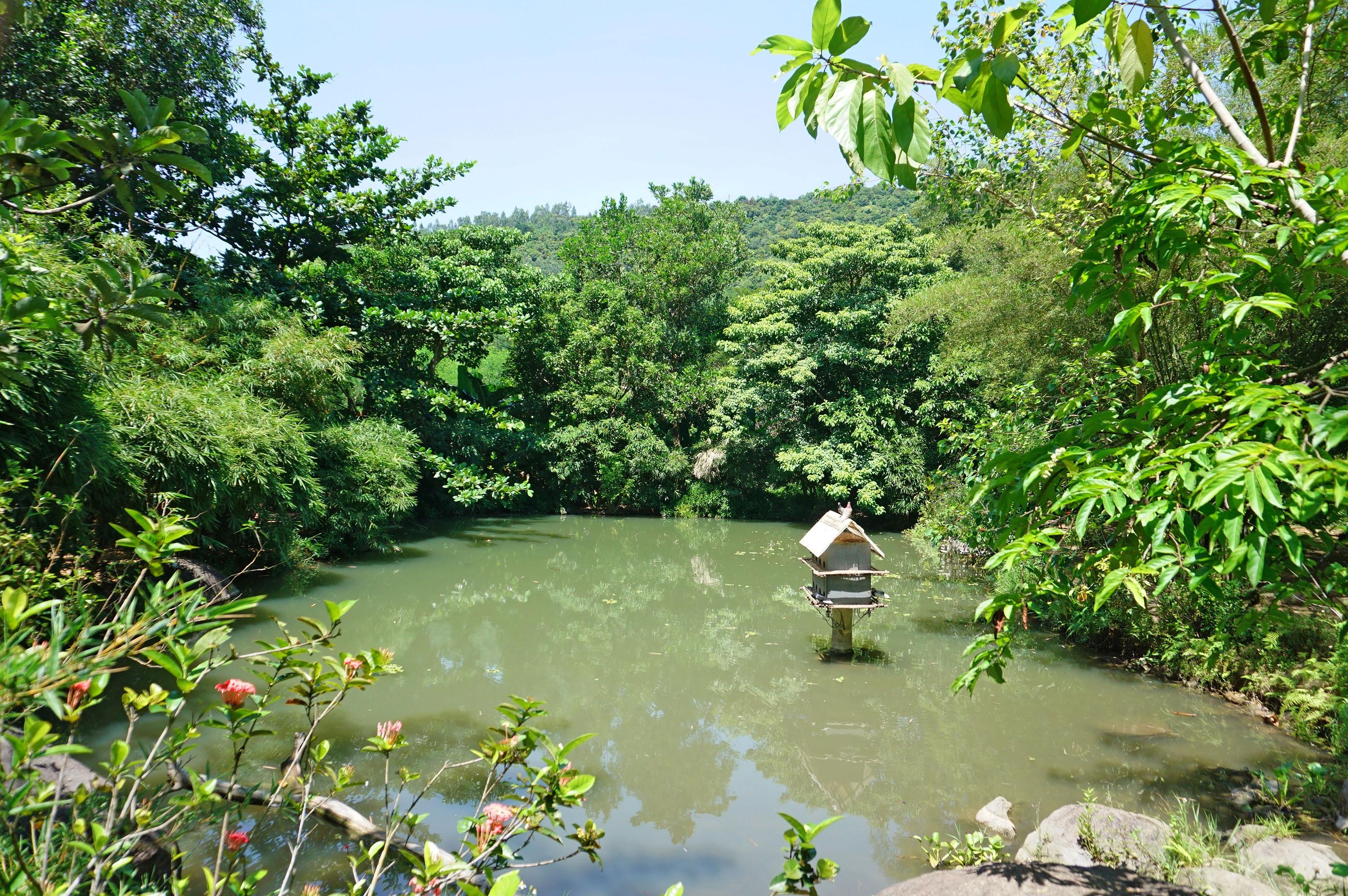 Thư thái với Sơn Trà Tịnh Viên