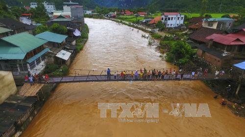 Thông tin từ đường dây nóng