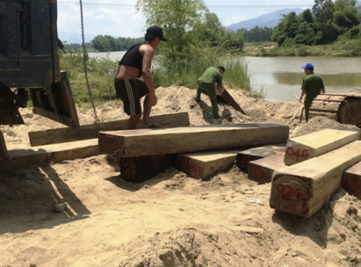 Thông tin từ đường dây nóng