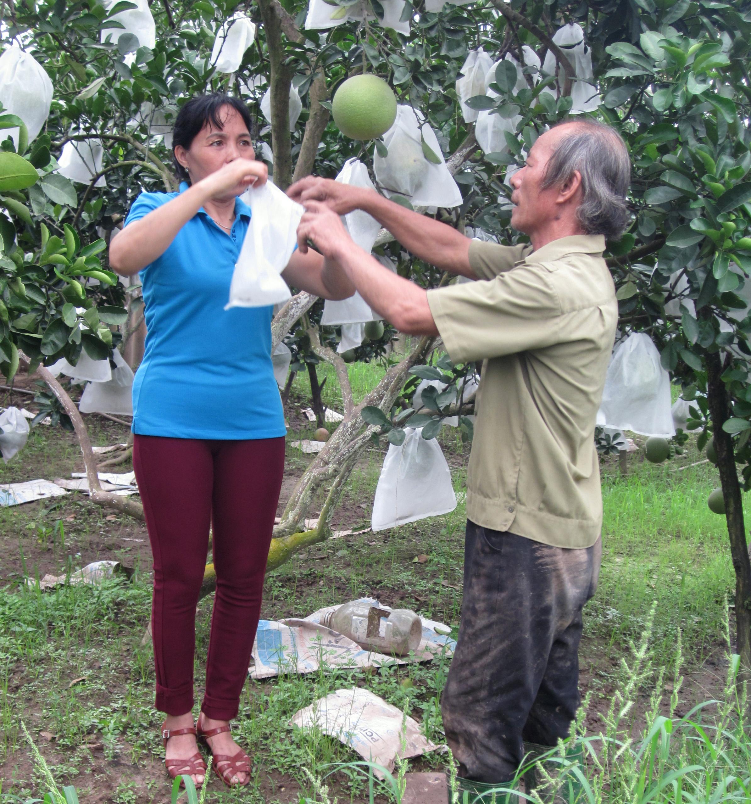 Người cựu chiến binh vượt khó, sáng tạo
