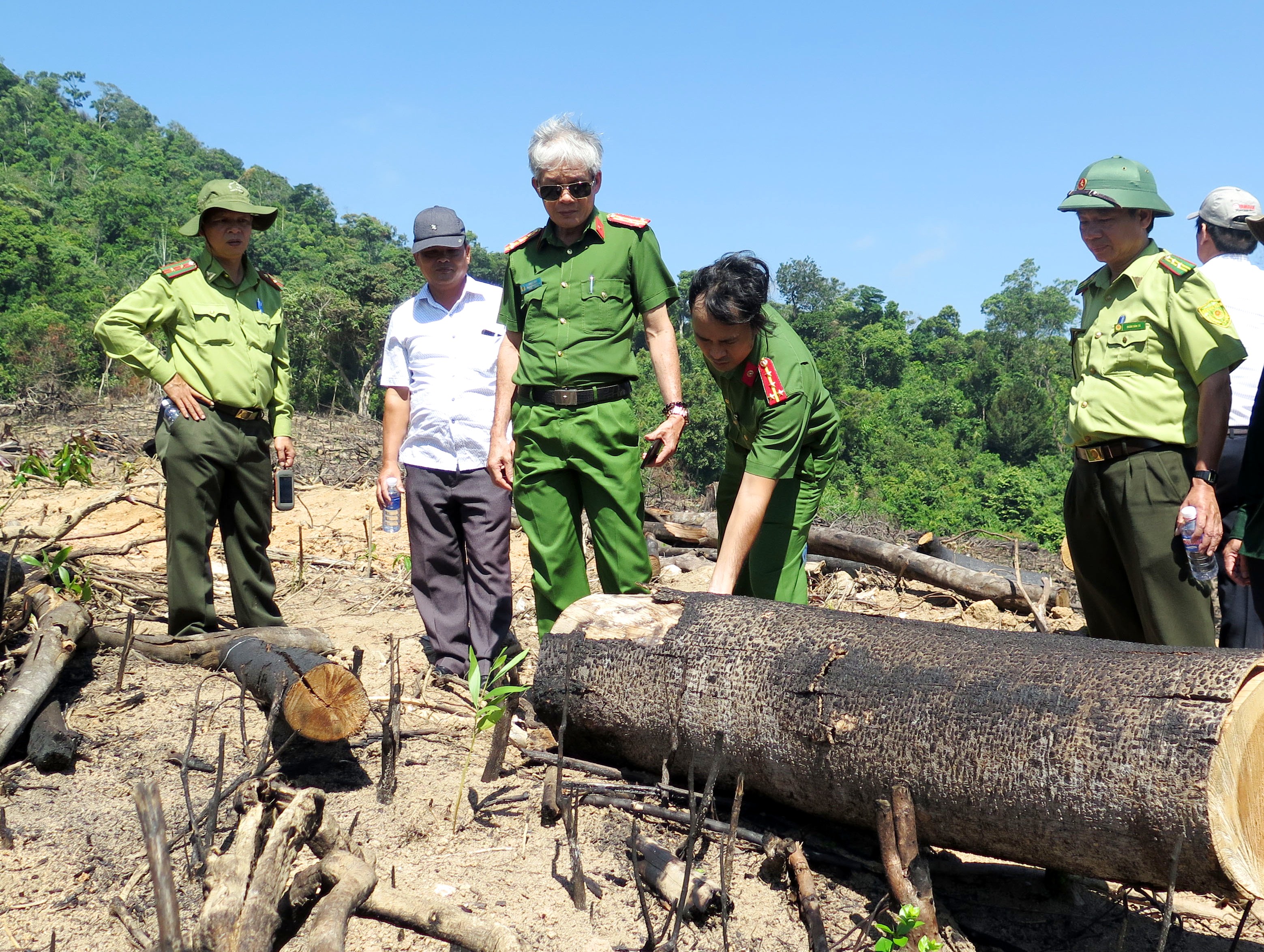 Bài 1: Ngang nhiên mở đường… phá rừng

