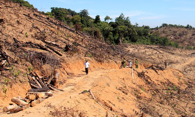 Bài 2: Khi trách nhiệm quản lý bị buông lỏng