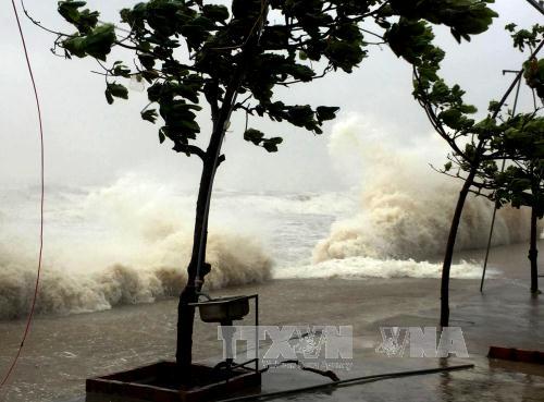 Bão số 10 hoành hành tại Hà Tĩnh-Quảng Bình, gió giật cấp 14-15
