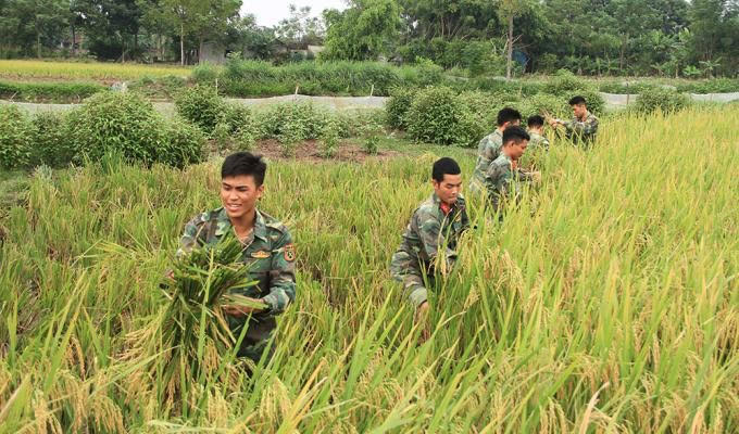 LLVT tỉnh Thanh Hóa: Ứng phó hiệu quả với cơn bão số 10