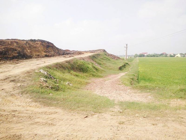 Thông tin từ đường dây nóng
