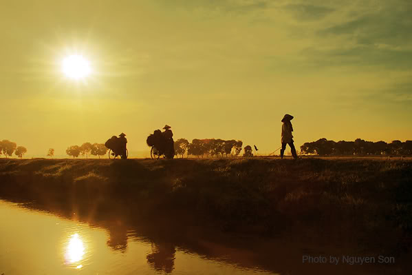 Ánh nhìn khắc khoải
