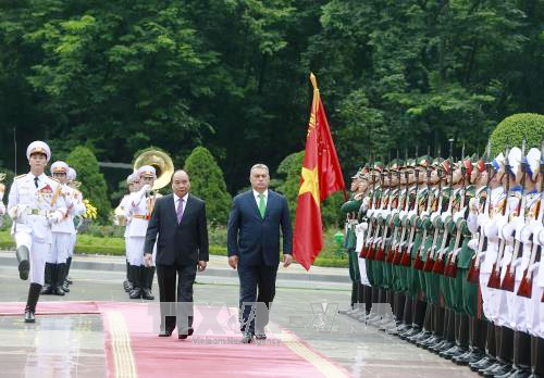 Thúc đẩy quan hệ giữa Việt Nam và Hungary trên nhiều lĩnh vực
