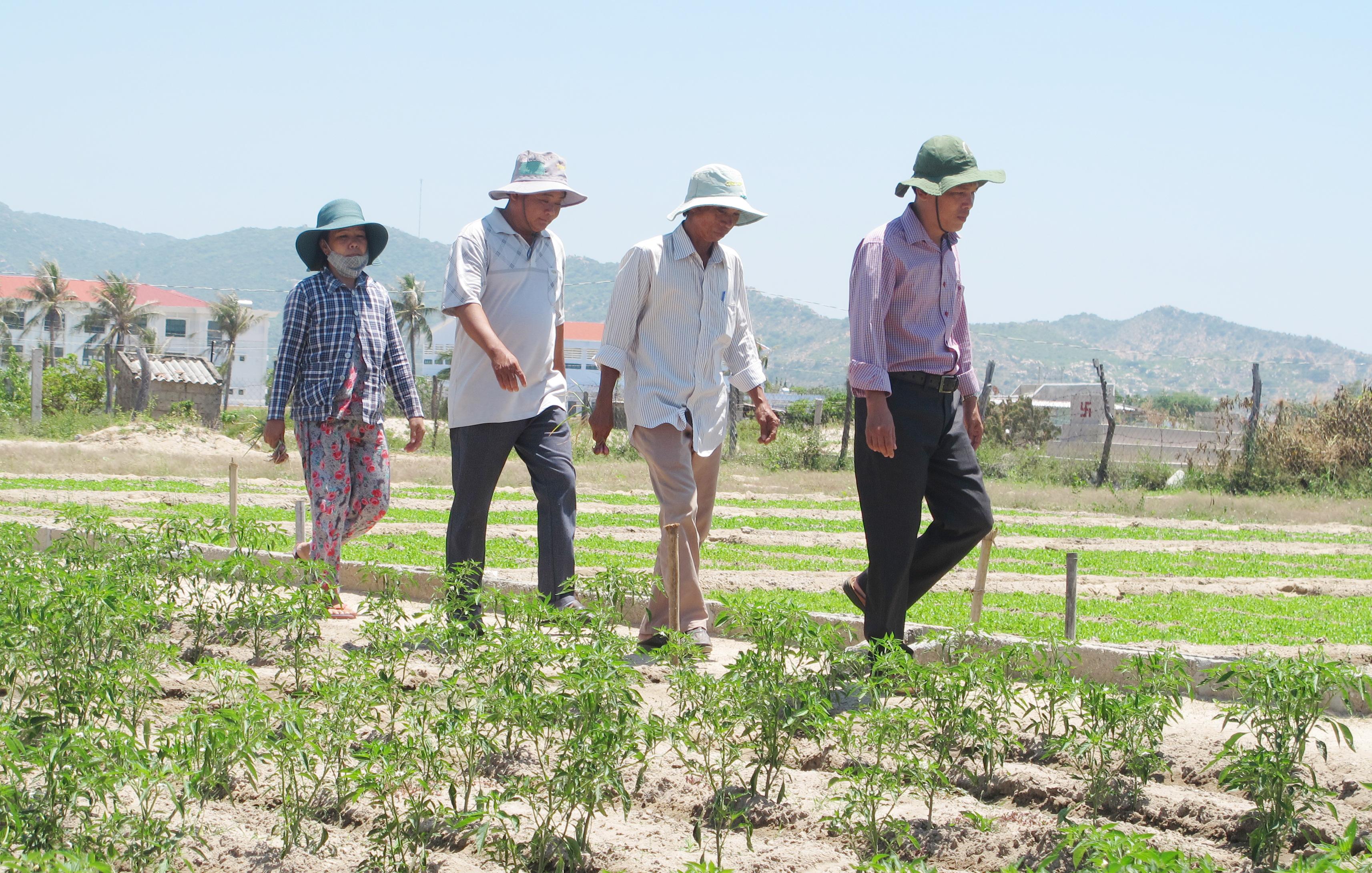 Bài 2: Nghị quyết và cuộc sống - tấm gương “tỏ, mờ” từ thực tiễn