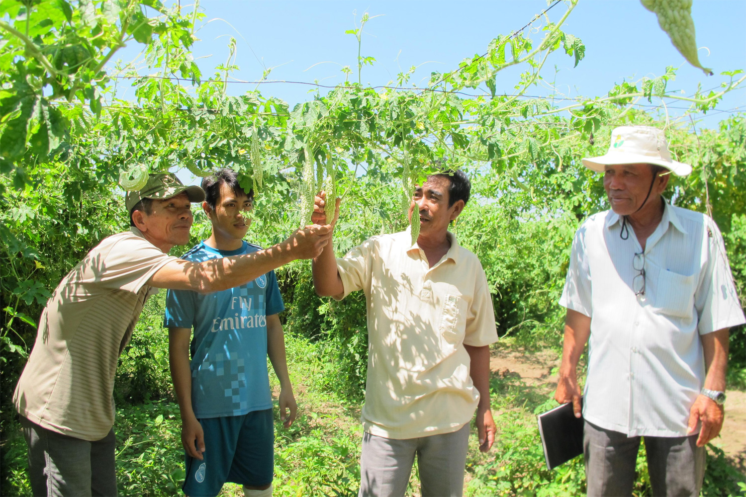 Bài 3: “Cái gốc” cần được chăm lo đúng mức
