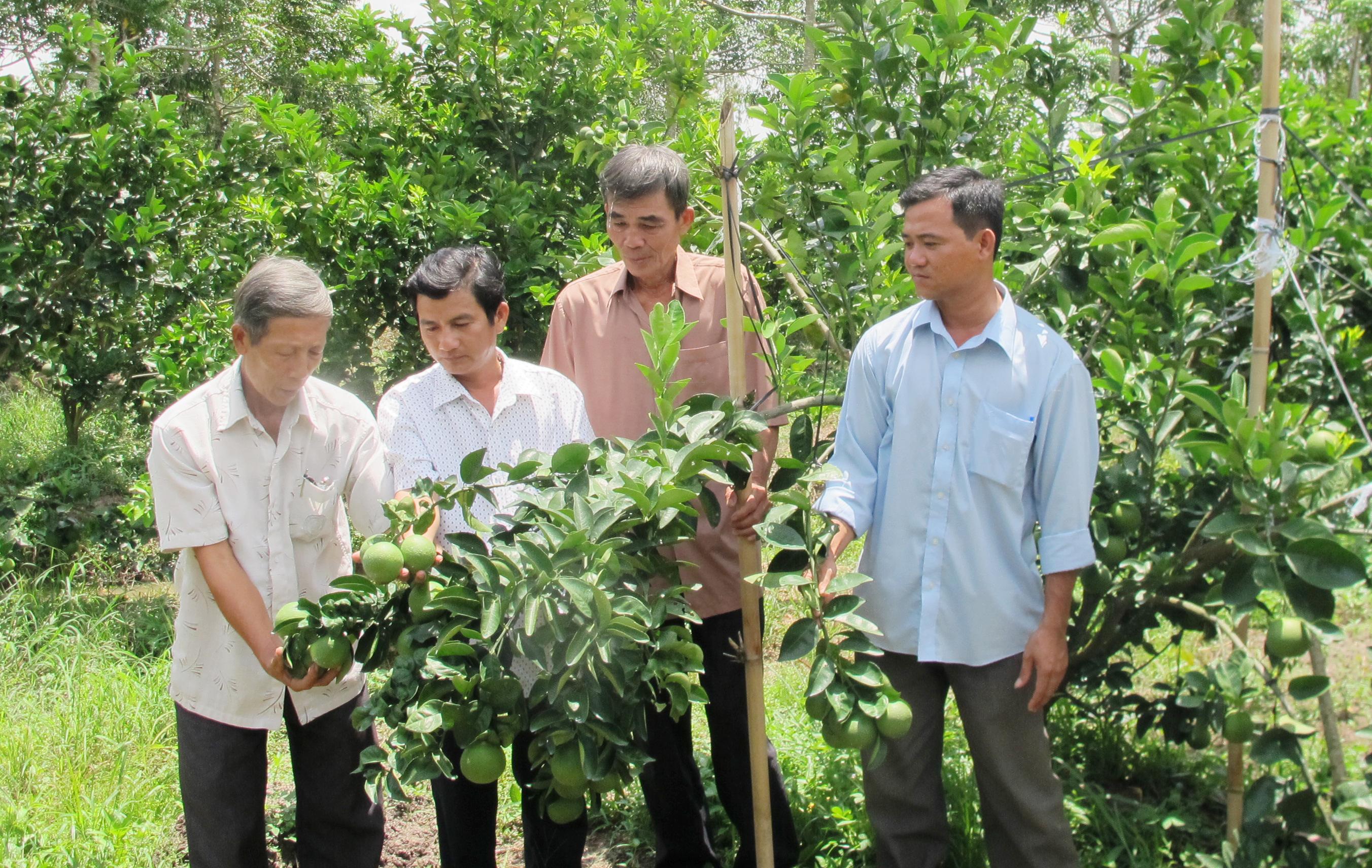 Bài 4: Lời giải nào cho bài toán nhất thể hóa?