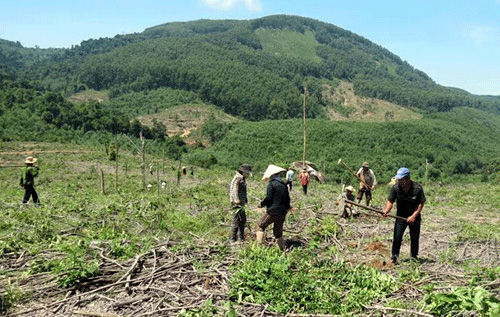 Báo động nạn lấn chiếm đất rừng ở Tây Ninh
