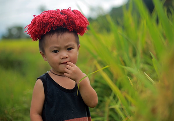 E bé người Dao đi xem bắt cá.