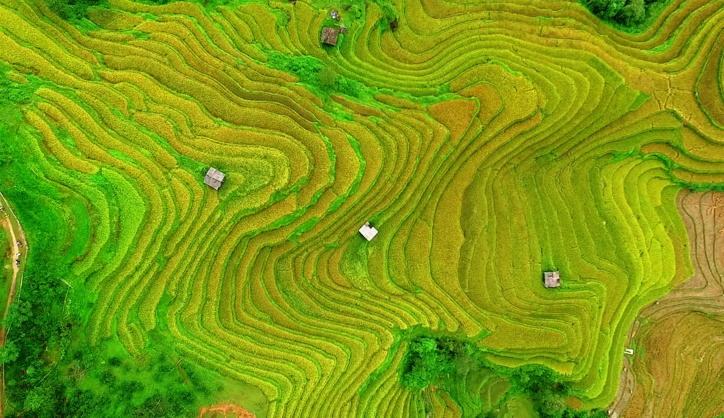 Để du lịch Hoàng Su Phì phát triển bền vững 
