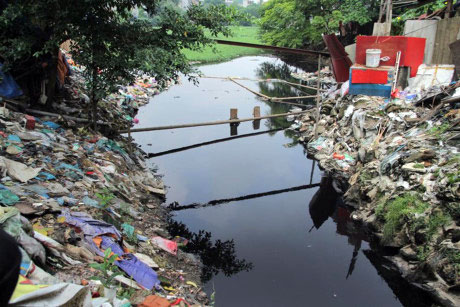 Thông tin từ đường dây nóng
