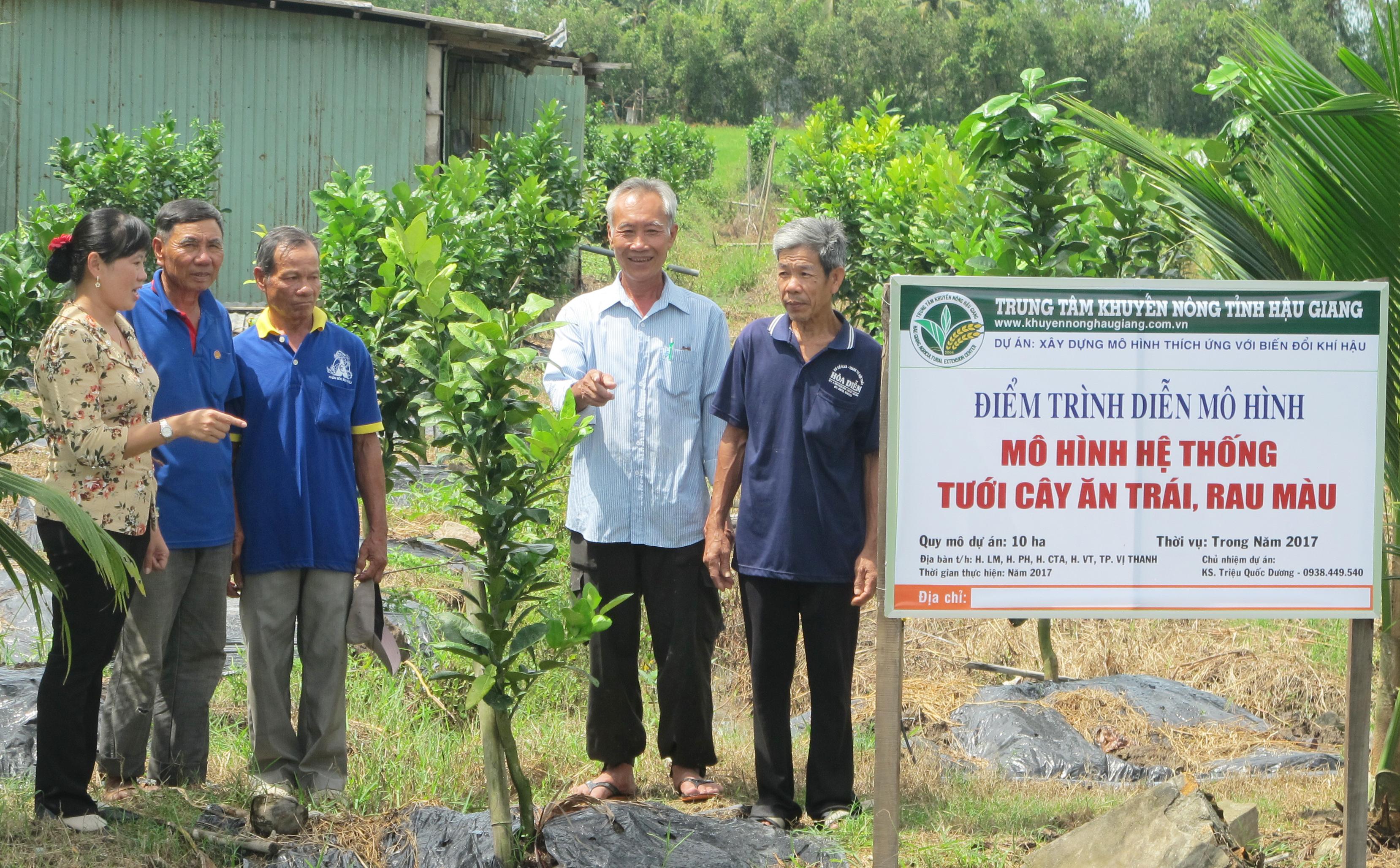 Khắc phục vướng mắc, nâng cao hiệu lực, hiệu quả lãnh đạo của Đảng ở cơ sở
