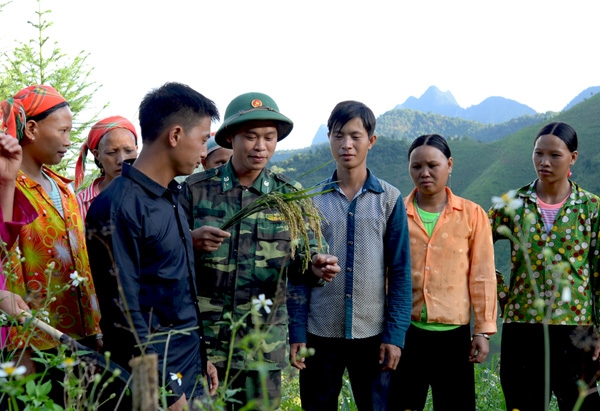 “Hội nghị đầu bờ” phổ biến kiến thức nông nghiệp giữa cán bộ Đồn Biên phòng Cần Yên và lãnh đạo, nhân dân địa phương.