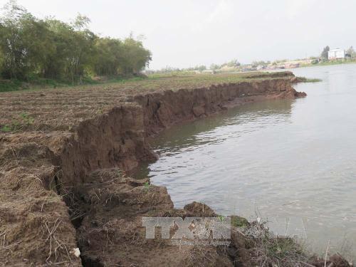 Thông tin từ đường dây nóng
