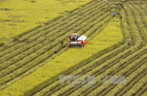 Kiên trì thực hiện tăng trưởng bền vững