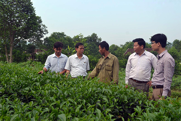 Nhà khoa học của nhà nông