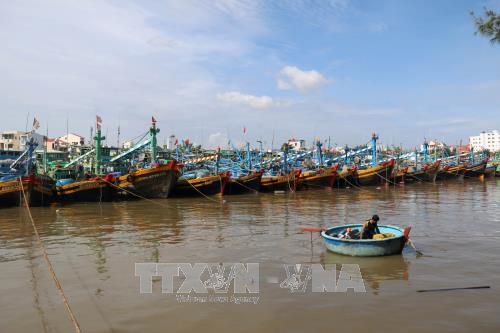 Ứng phó với bão số 12: Các địa phương rà soát, xây dựng phương án sơ tán dân ra khỏi vùng nguy hiểm