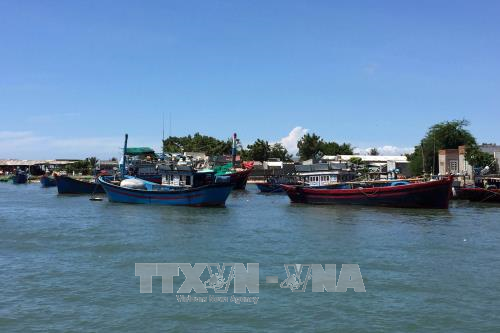 Bão số 12 di chuyển nhanh và mạnh lên, giật cấp 15 