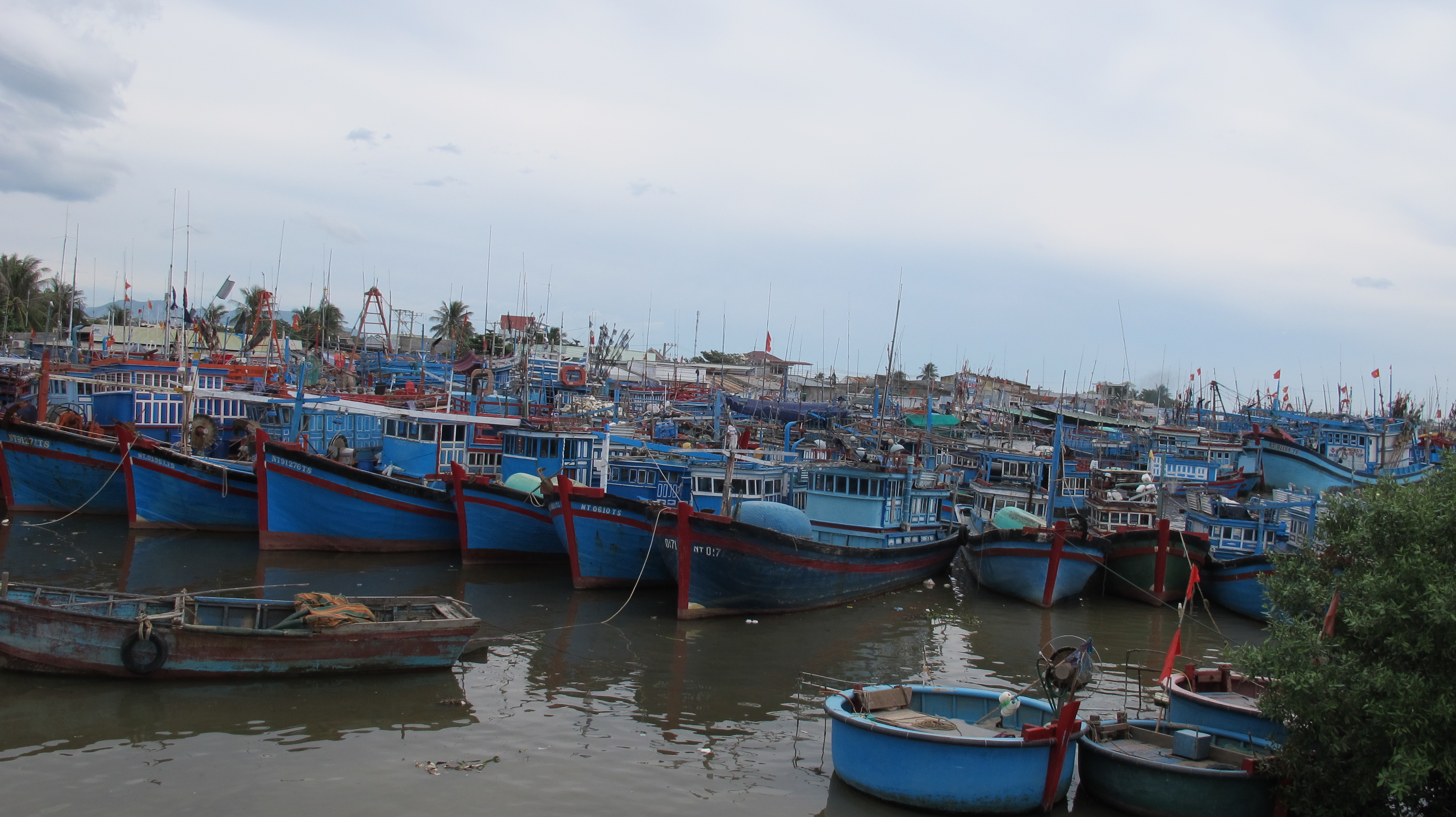 Quân dân Ninh Thuận chủ động chống bão