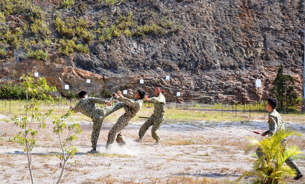 Luyện tập đánh đối kháng.