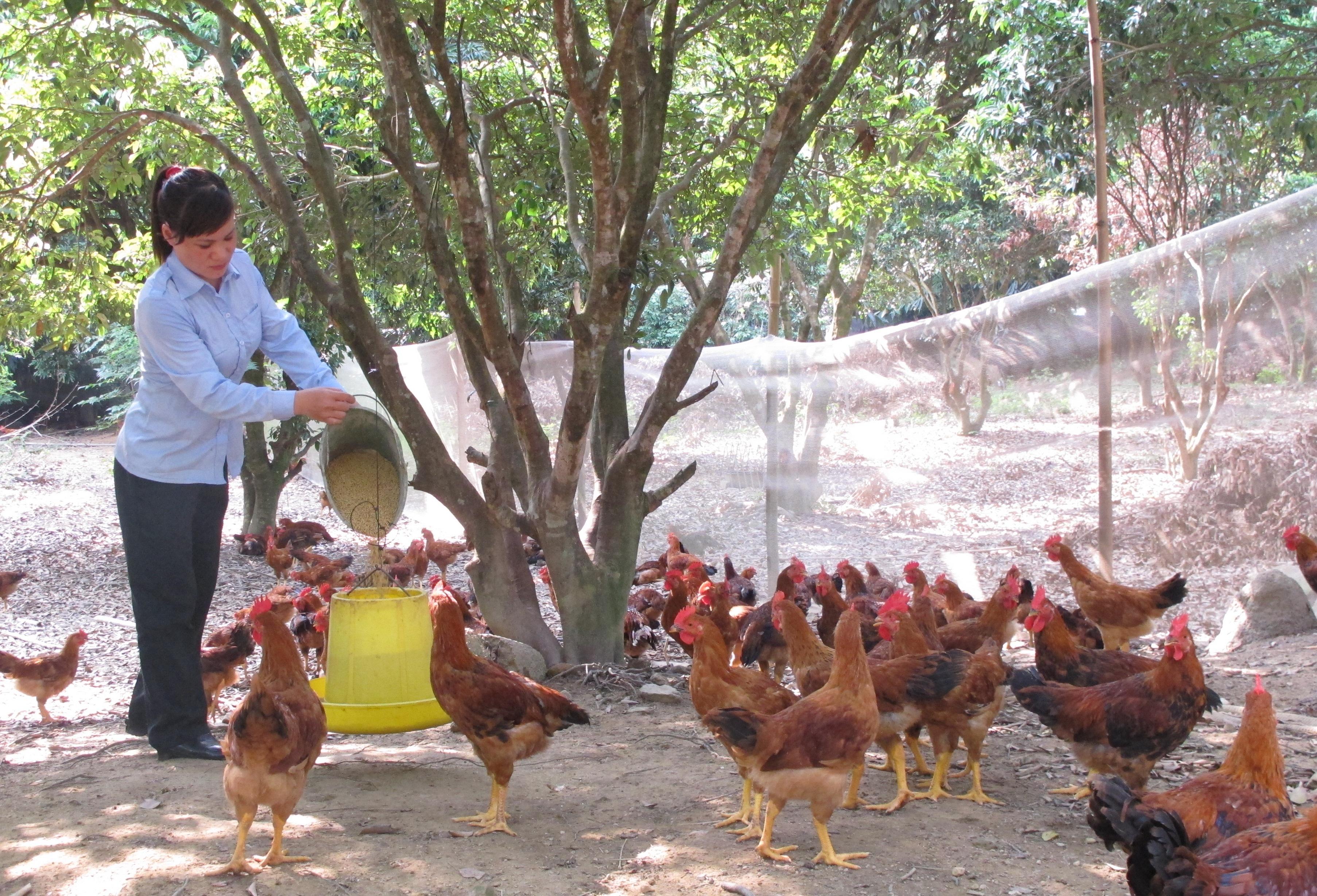 Sáng tạo giúp nhau phát triển kinh tế
