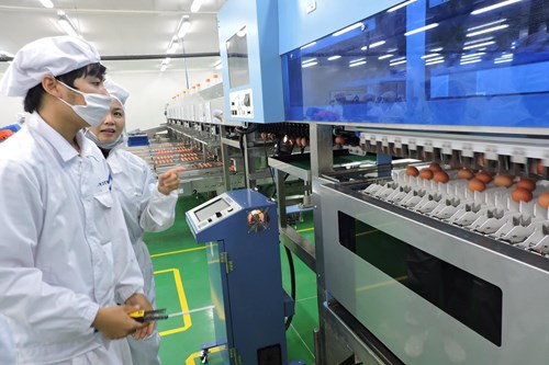 HỖ TRỢ VÀ ĐỒNG HÀNH CÙNG NÔNG DÂN 