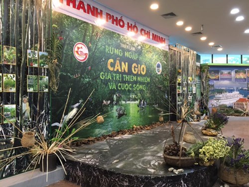 GIỮ GÌN DI SẢN XANH 