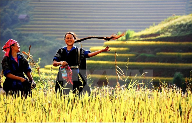 Bước ngoặt lớn phát triển con người Việt Nam