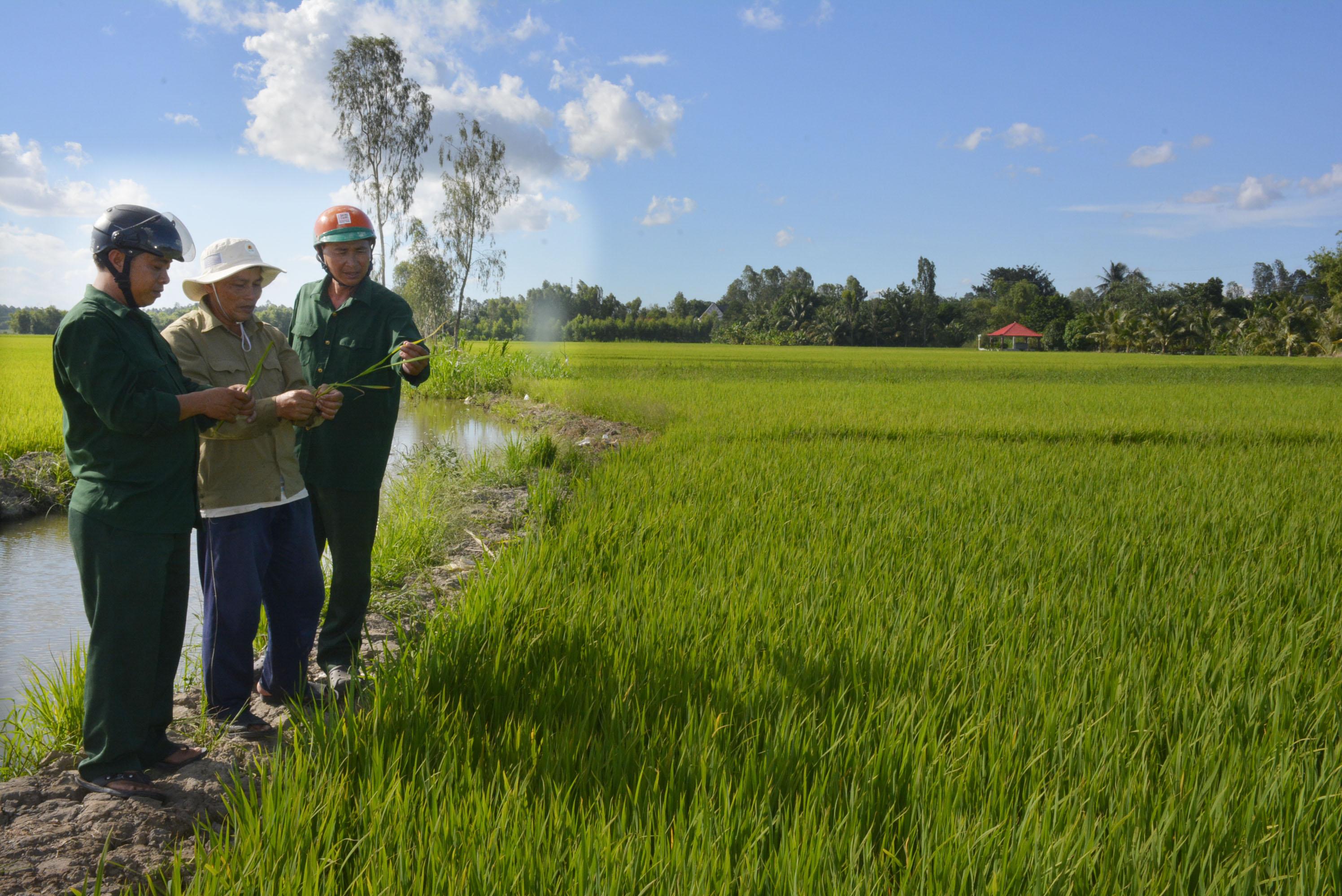 Thế vững trên biên cương xanh