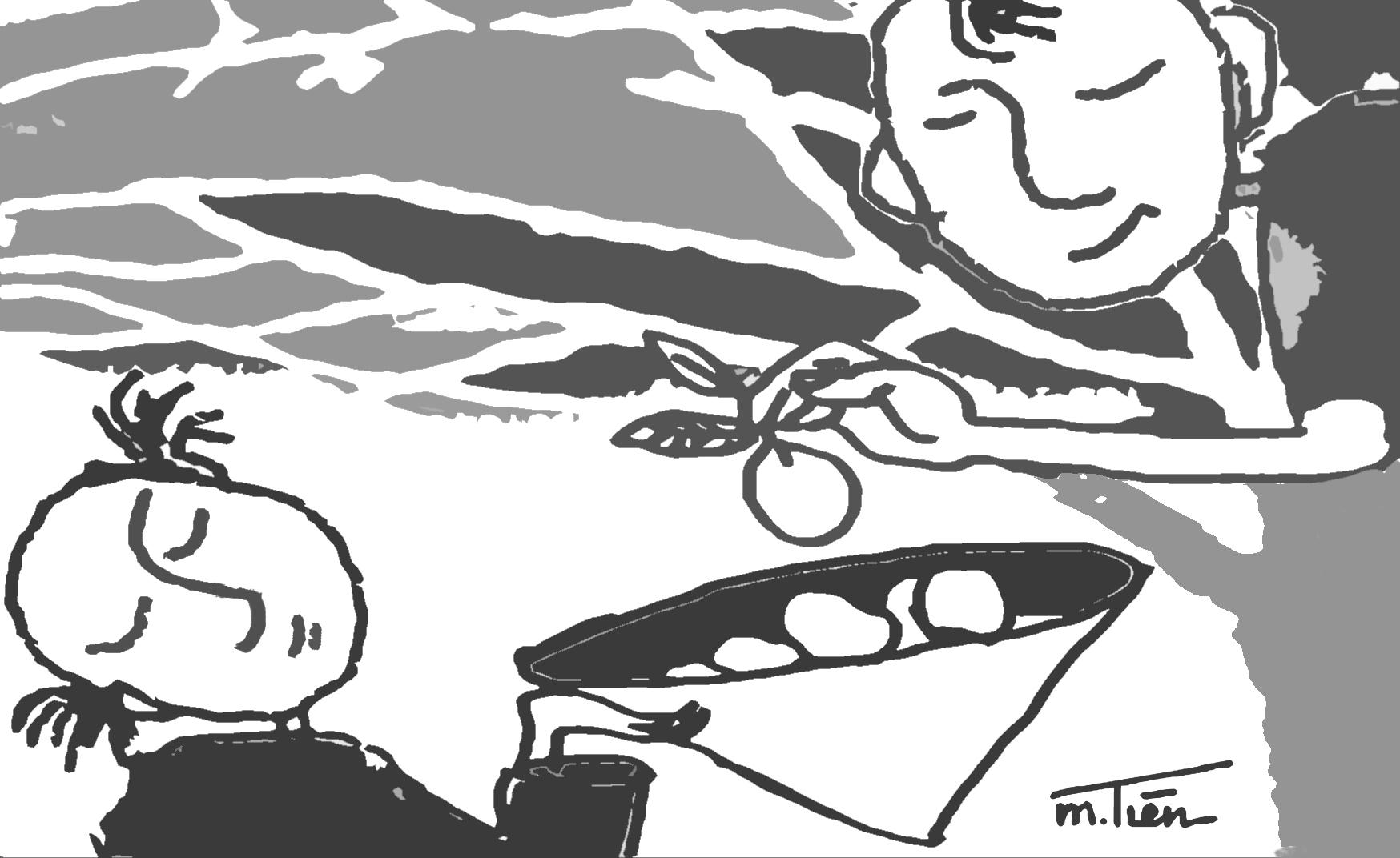 Mảnh vườn của mẹ