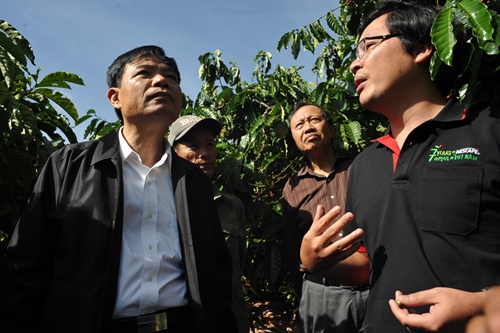 Giải pháp phát triển bền vững ngành cà phê Việt Nam