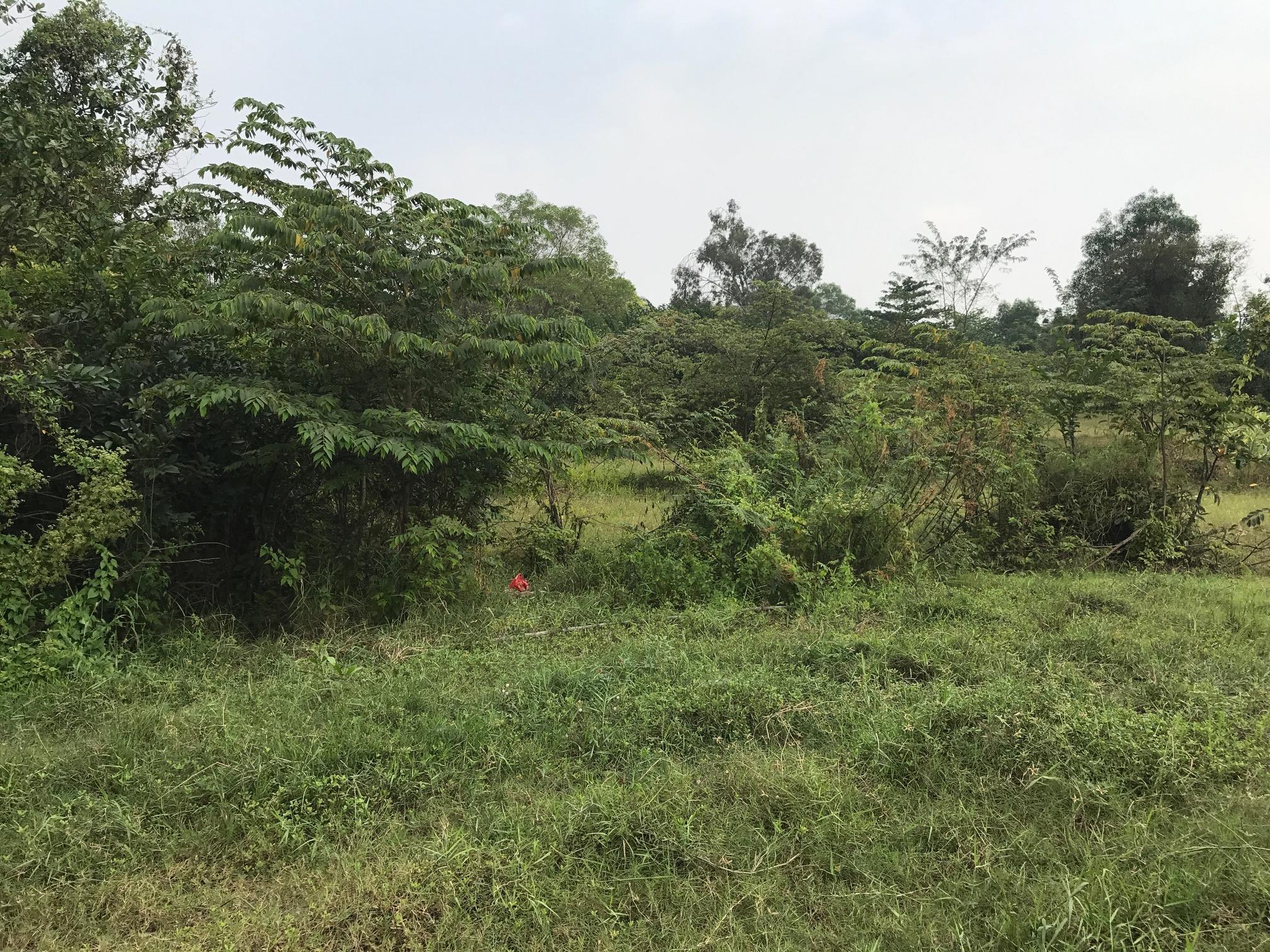 Bán đất hay chiêu trò lừa dối khách hàng? 

