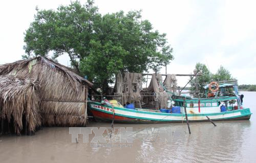 Các địa phương, đơn vị khẩn trương ứng phó với bão số 16