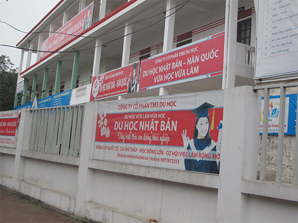 Đi học hay đi làm?

