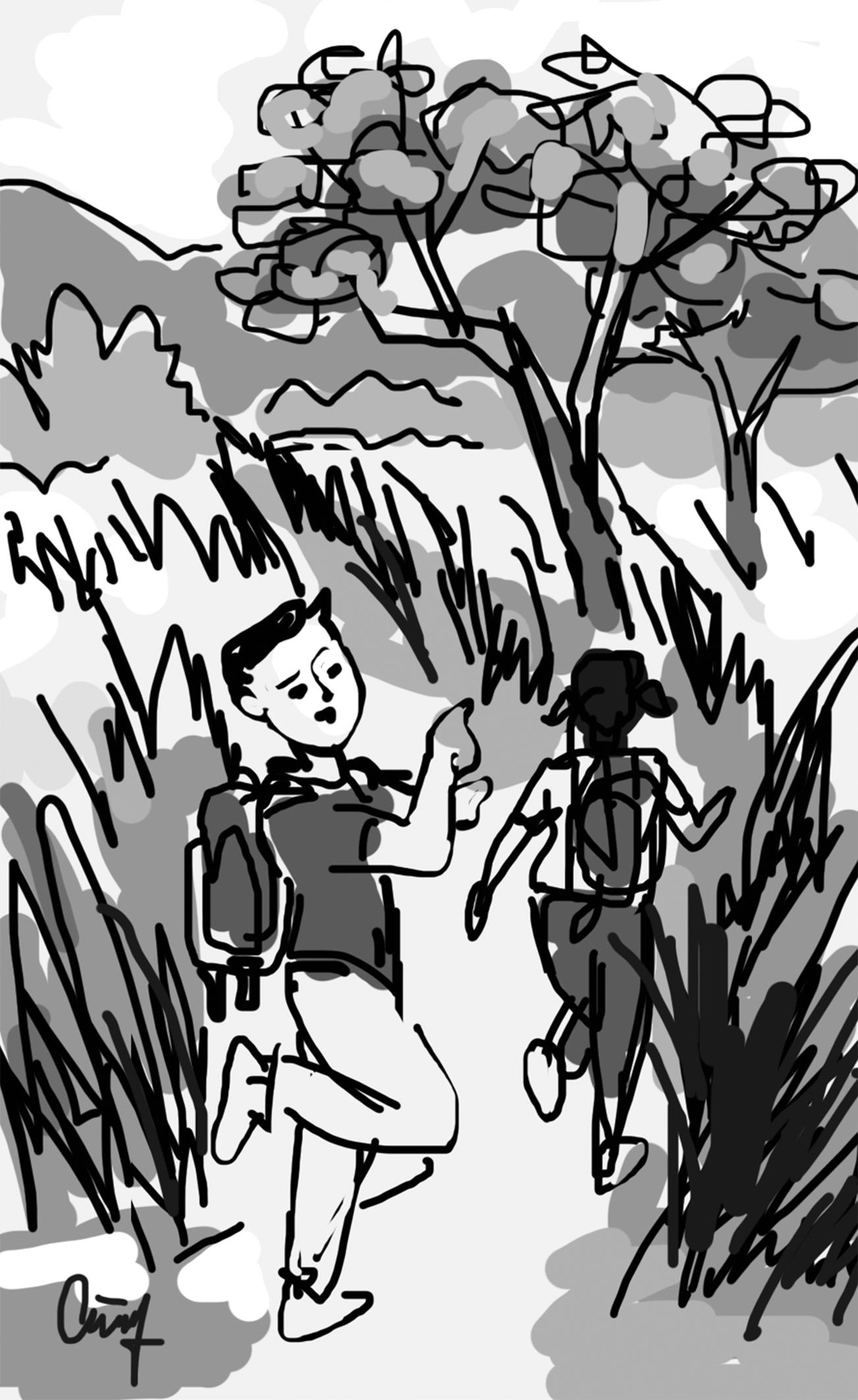 Đường mòn mất dấu