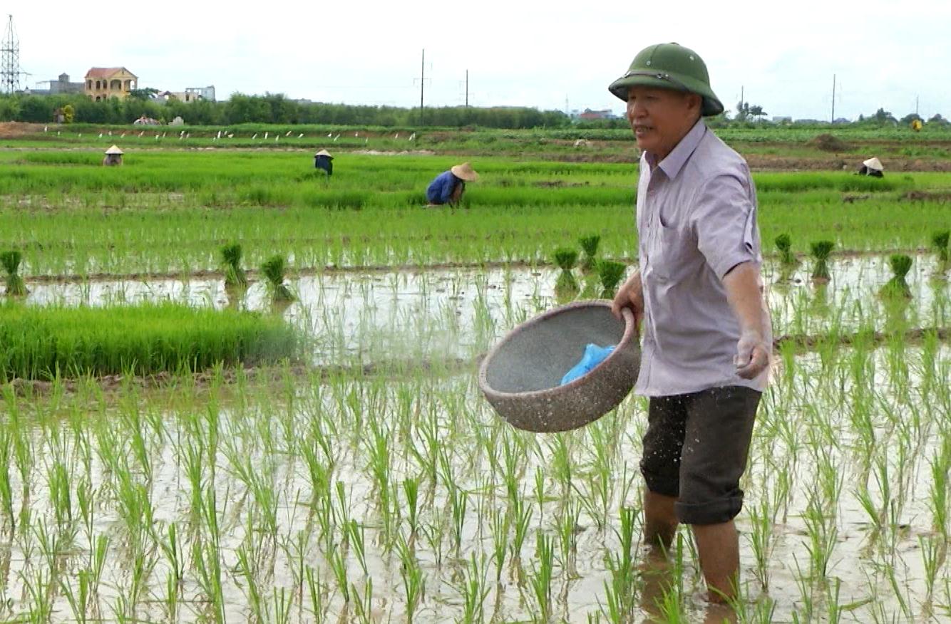 Ông “thần nông” ở Hồng Quang
